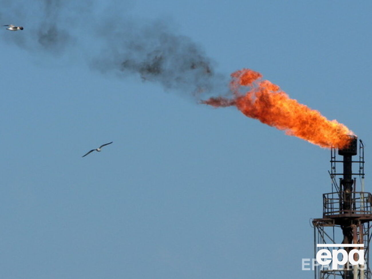 Нефть подорожала в начале года