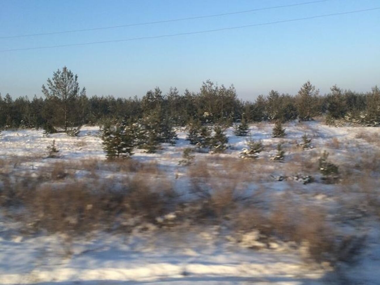 В Луганской области сейчас 25 градусов мороза