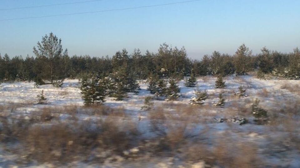 В Луганской области сейчас 25 градусов мороза