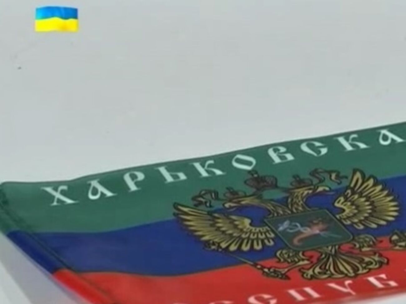 За призывы к созданию "ХНР" мать-одиночку приговорили к году и 10 месяцам тюрьмы, но тут же выпустили