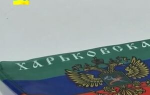 За призывы к созданию "ХНР" мать-одиночку приговорили к году и 10 месяцам тюрьмы, но тут же выпустили