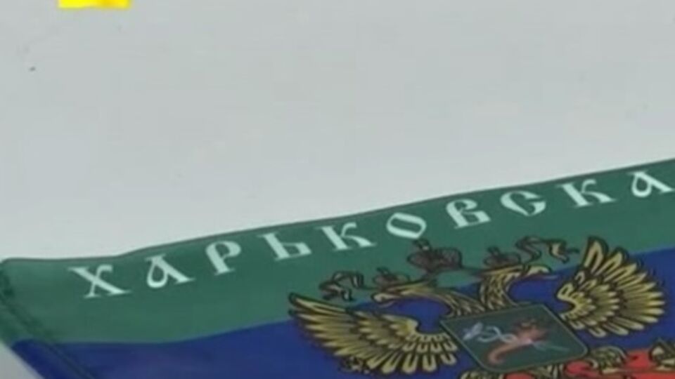 За призывы к созданию "ХНР" мать-одиночку приговорили к году и 10 месяцам тюрьмы, но тут же выпустили