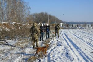 Отыскать нарушителей границы помогли служебные собаки