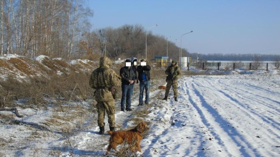 Отыскать нарушителей границы помогли служебные собаки