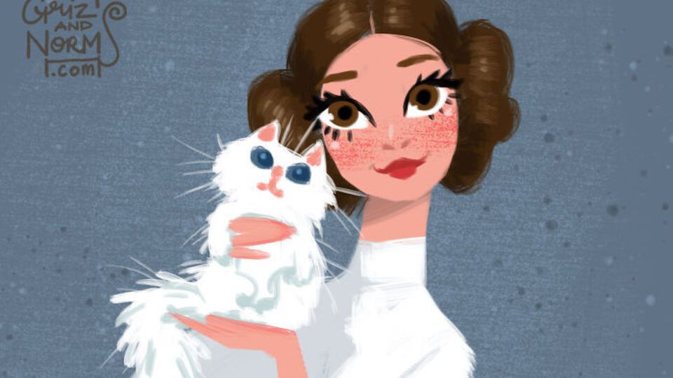 Художники посчитали, что принцессе Лее подойдет белая пушистая кошка