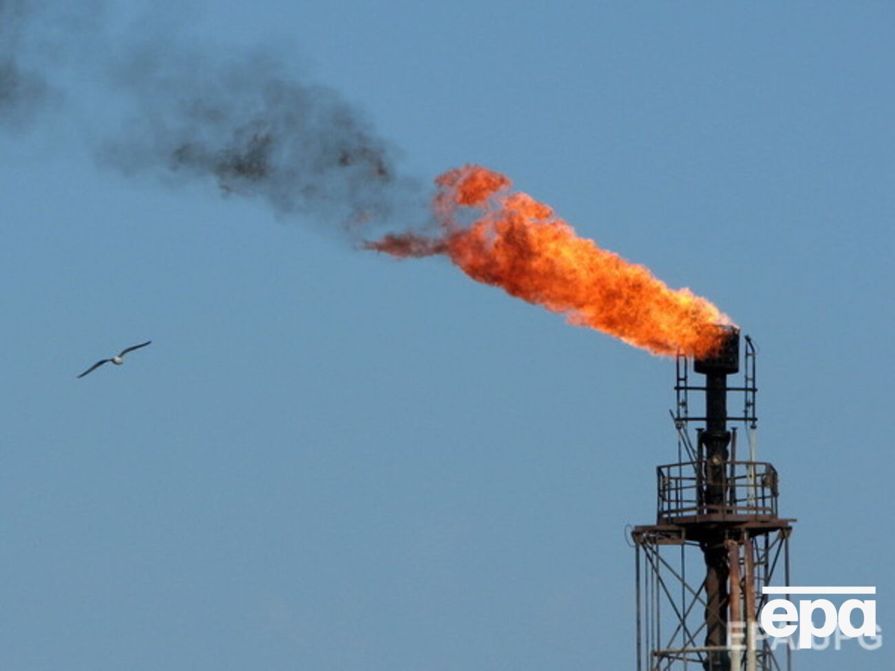 Нефть к закрытию торгов упала в цене