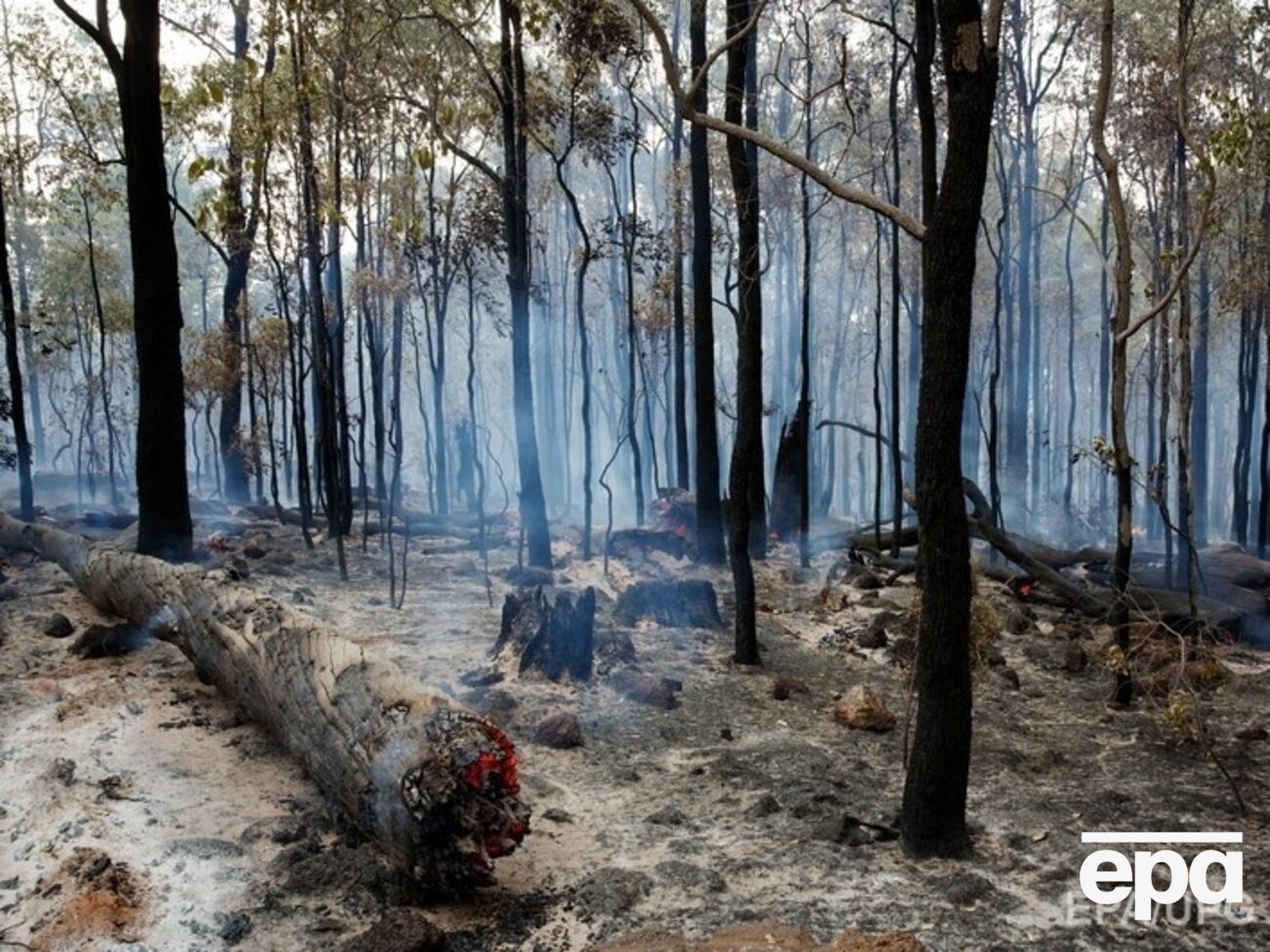 Ранения получили четыре пожарных