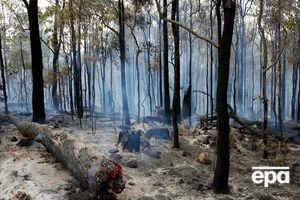 Ранения получили четыре пожарных