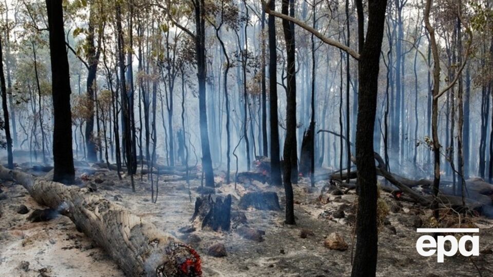 Ранения получили четыре пожарных