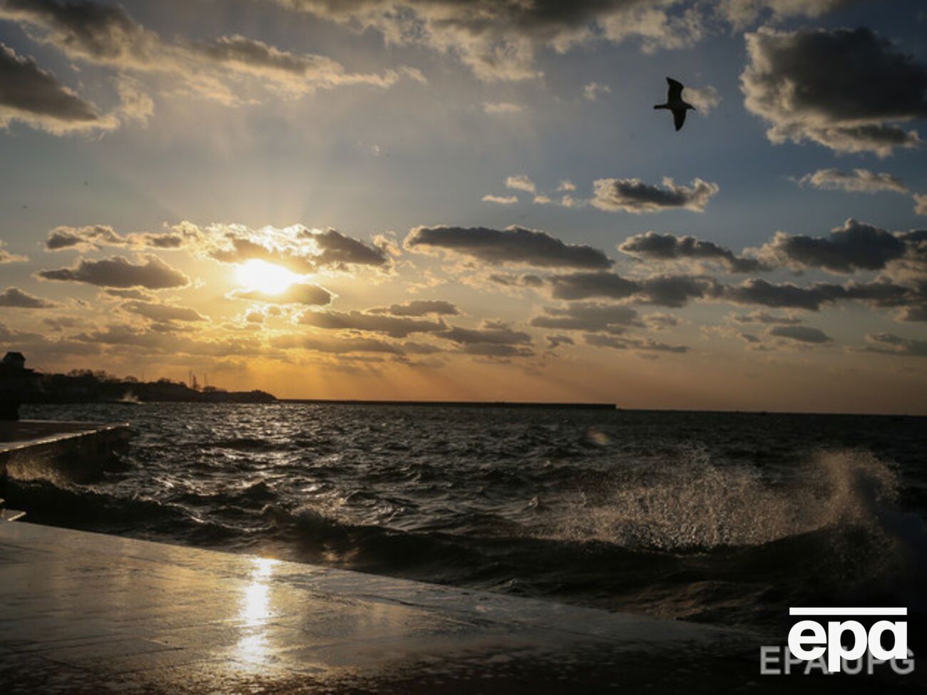 В Севастопольской бухте запретили движение судов