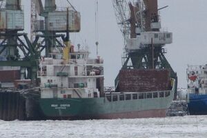 Задержанных за пьянство моряков российского сухогруза депортируют из Дании