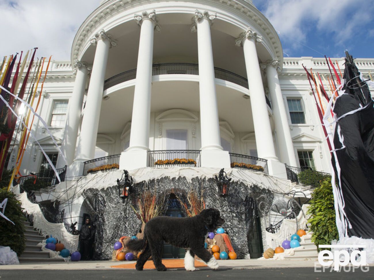 Вооруженный человек планировал похитить одну из собак президента США