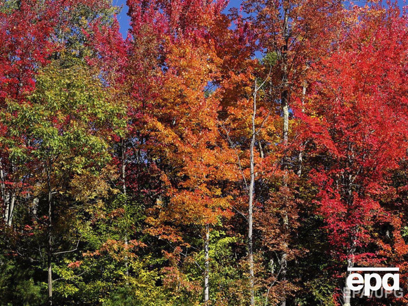 В осенней Украине установилась теплая погода