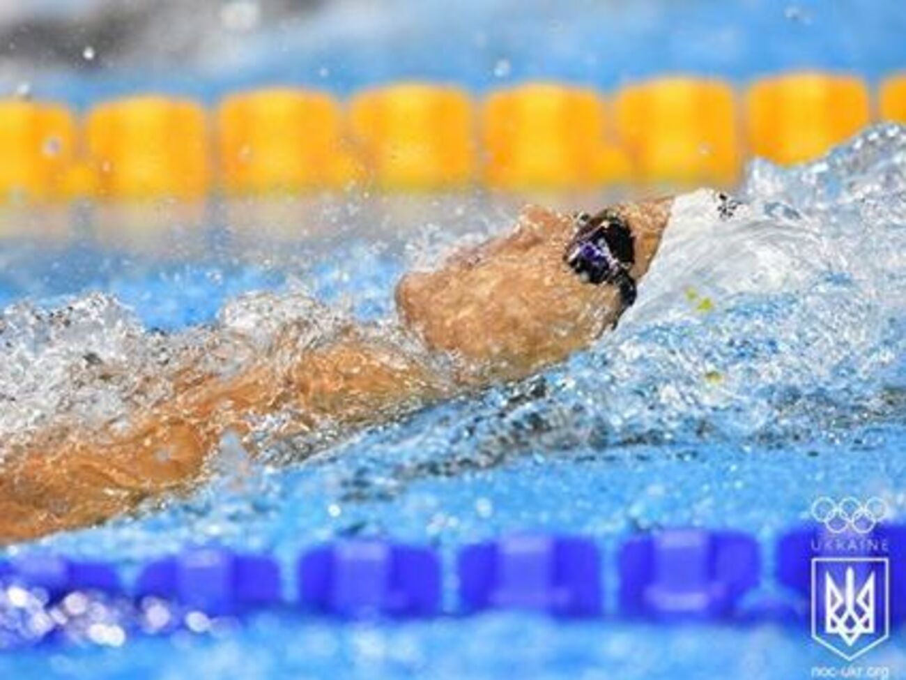 Дарья Зевина заработала 942 балла