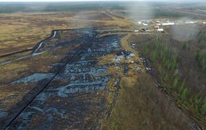 Журналисты зафиксировали разлив нефти