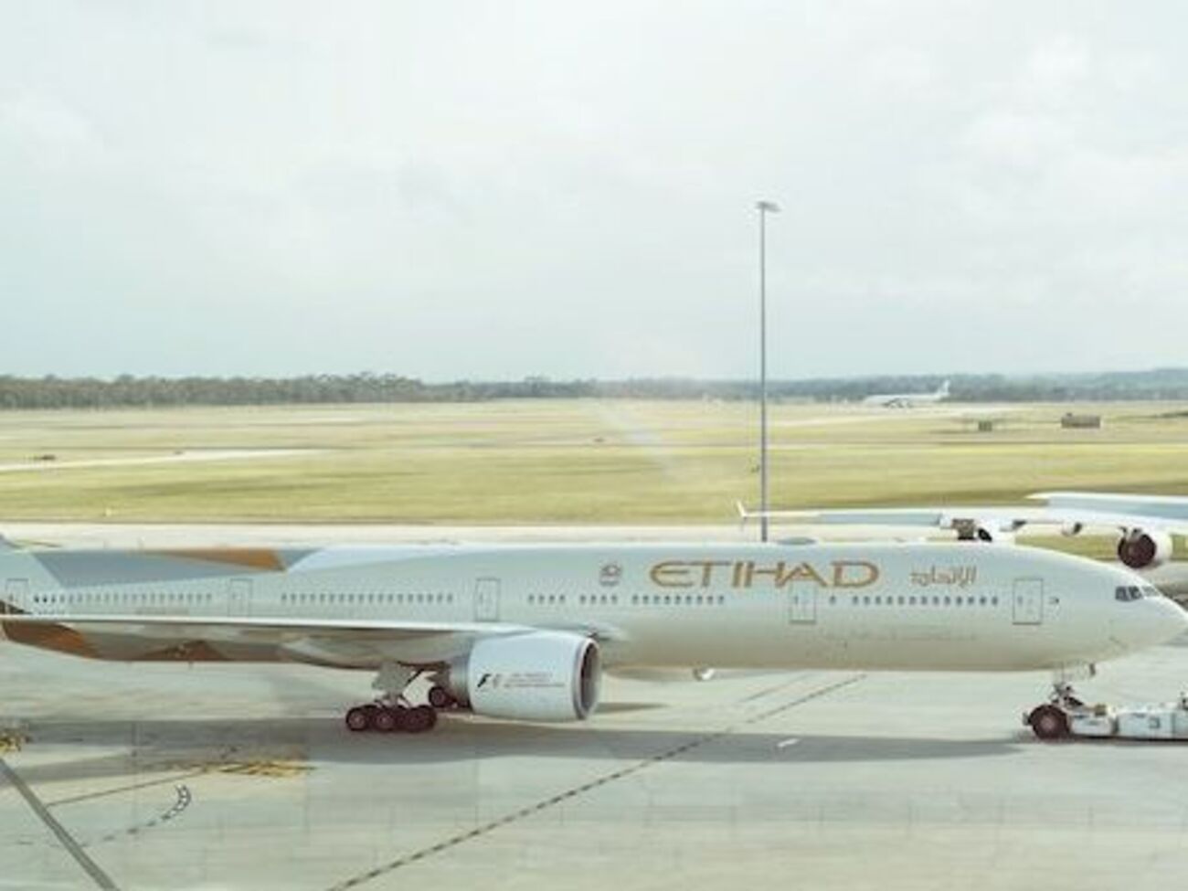 Самолет&nbsp;Etihad Airways совершил экстренную посадку из-за отказавшего двигателя