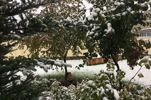 В Виннице осенний снегопад