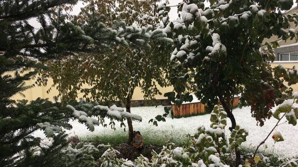 В Виннице осенний снегопад