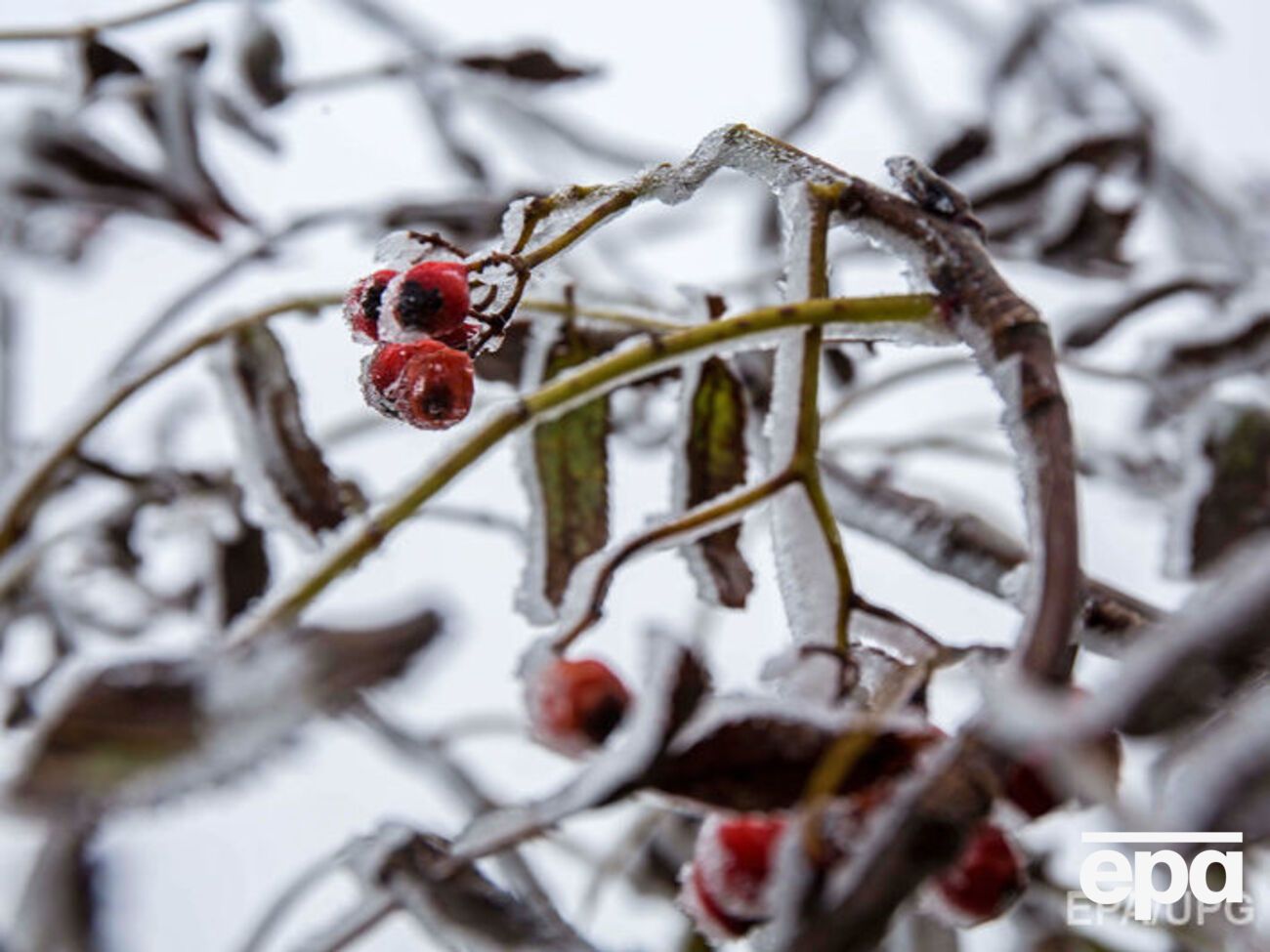 Укгидрометцентр прогнозирует,&nbsp;в течение зимы будут наблюдаться резкие изменения погодных условий