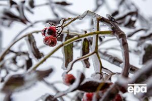 Укгидрометцентр прогнозирует, в течение зимы будут наблюдаться резкие изменения погодных условий