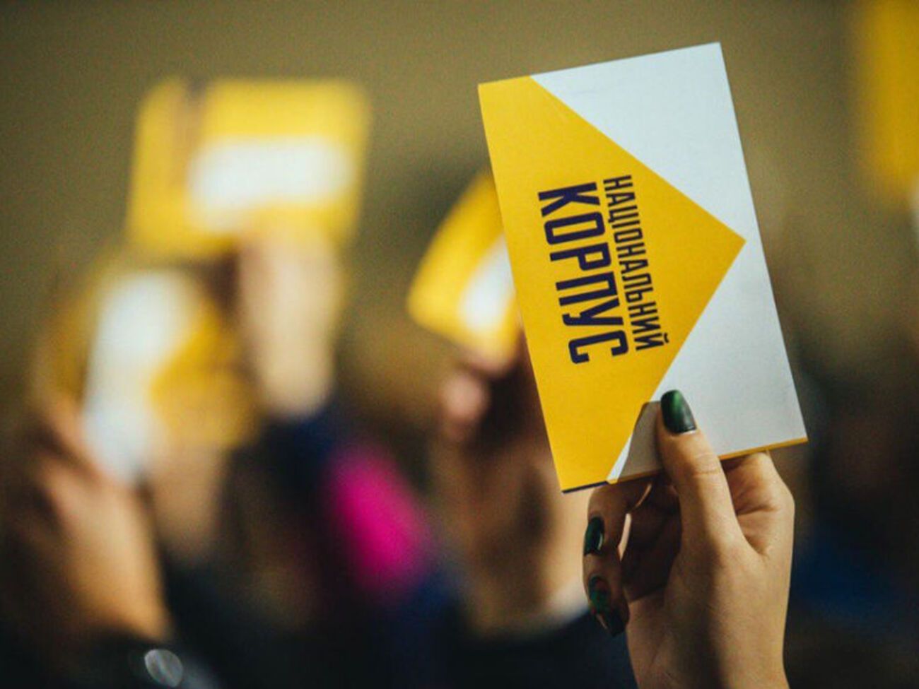 Партия, созданная активистами и ветеранами "Азова", предлагает казнить коррупционеров