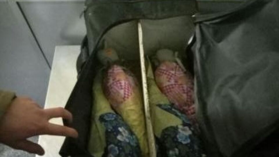 ГПСУ: Информацию о возможном вывозе птиц пограничники получили заранее