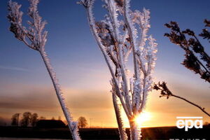 Сегодня ночью в Киеве температура опустится до 0 ˚С