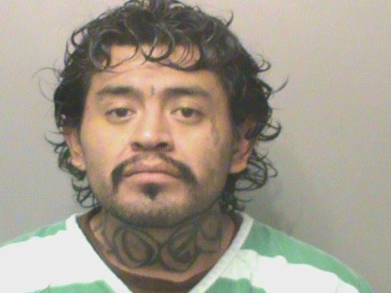 Полиция смогла остановить нарушители при помощи электрошокера