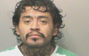 Полиция смогла остановить нарушители при помощи электрошокера