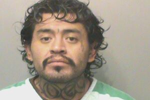 Полиция смогла остановить нарушители при помощи электрошокера