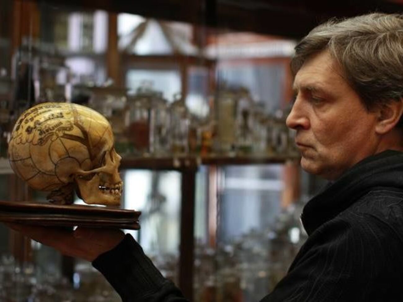 Александр Невзоров:&nbsp;Полное замещение мозга хлопковым субстратом никак не мешает всем функциям народного организма