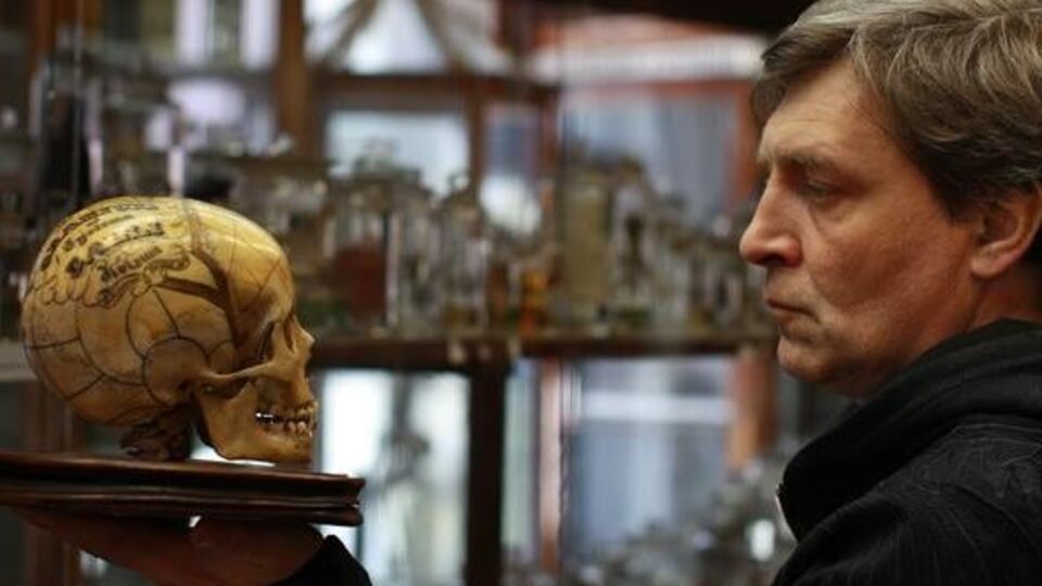 Александр Невзоров: Полное замещение мозга хлопковым субстратом никак не мешает всем функциям народного организма