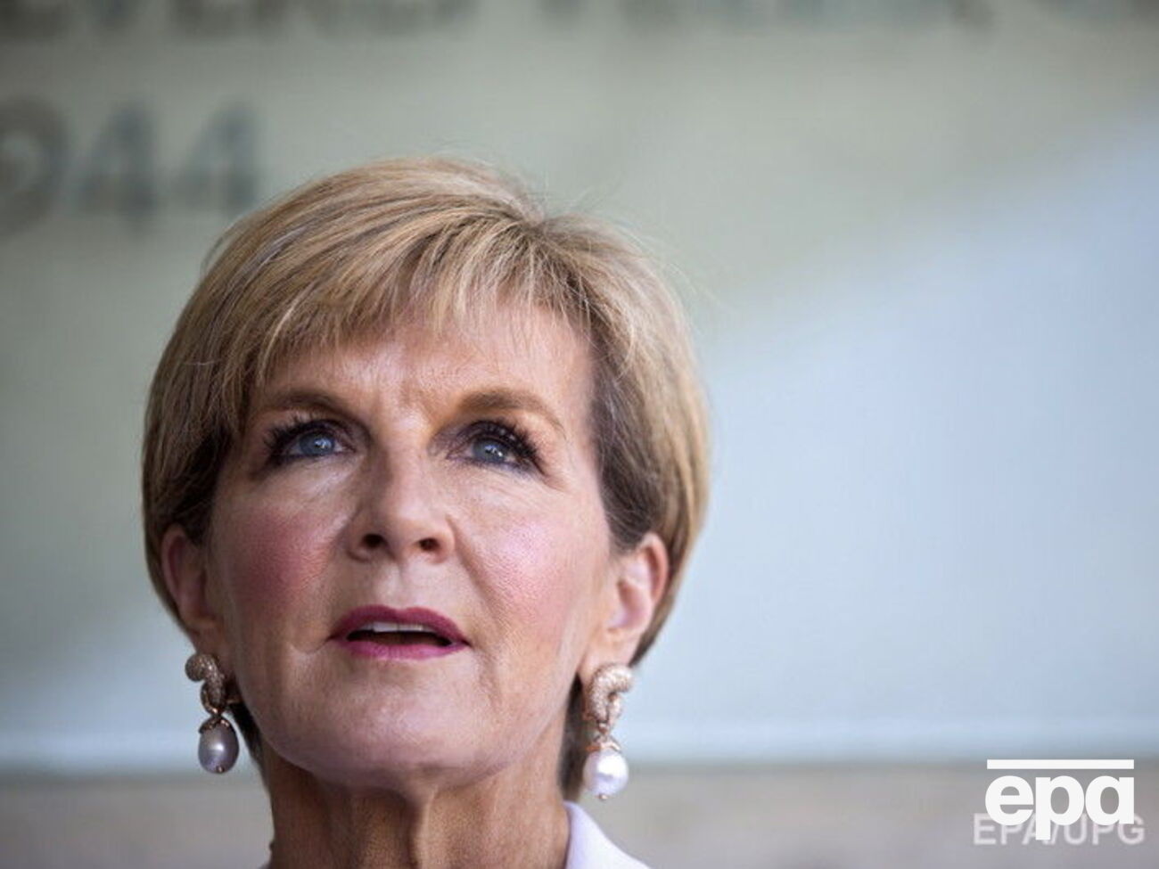 Бишоп считает возможным создать трибунал международного сообщества по MH17