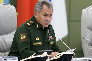 По словам Шойгу, решение поддержали власти Сирии