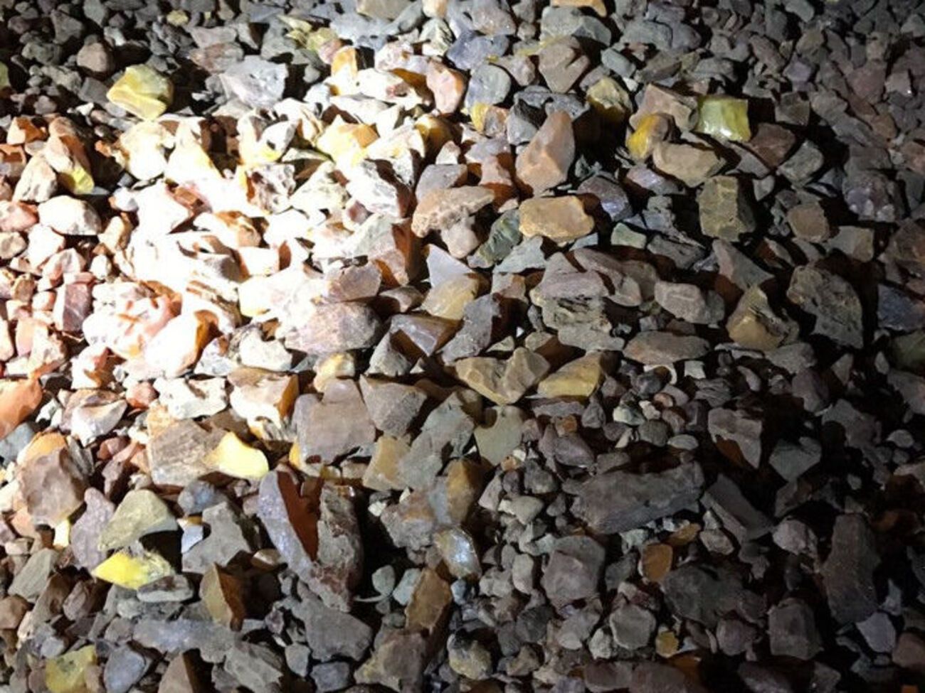 СБУ&nbsp;перекрыла канал вывоза в одну из стран Азии незаконно добытого янтаря