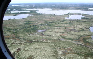 Вечером 21 октября в районе поселка Уренгой вертолет Ми-8 совершил аварийную посадку