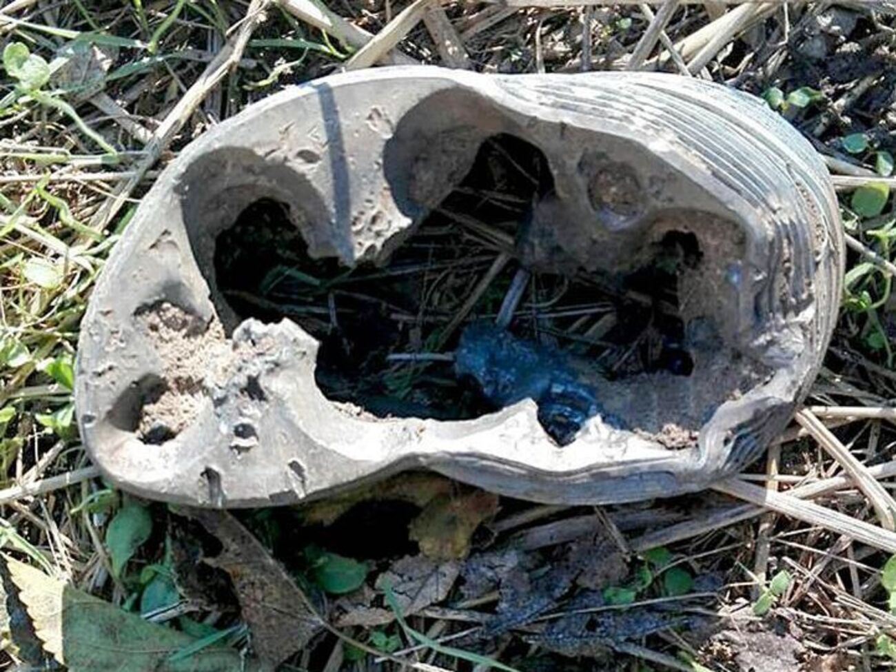 В зоне АТО боевики обстреляли украинские позиции из "Градов"