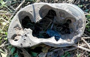 В зоне АТО боевики обстреляли украинские позиции из "Градов"