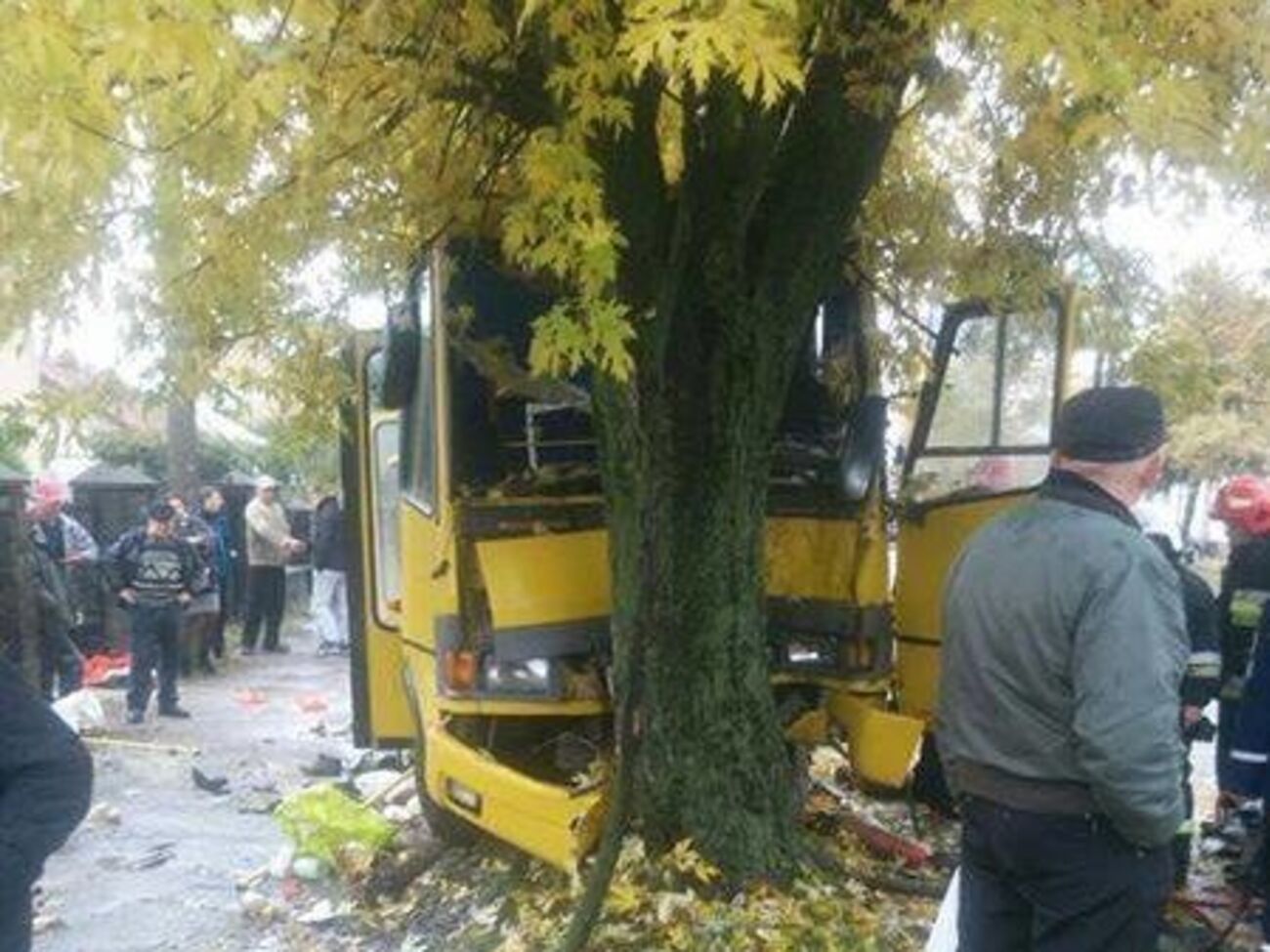 Во Львове автобус с людьми столкнулся с деревом