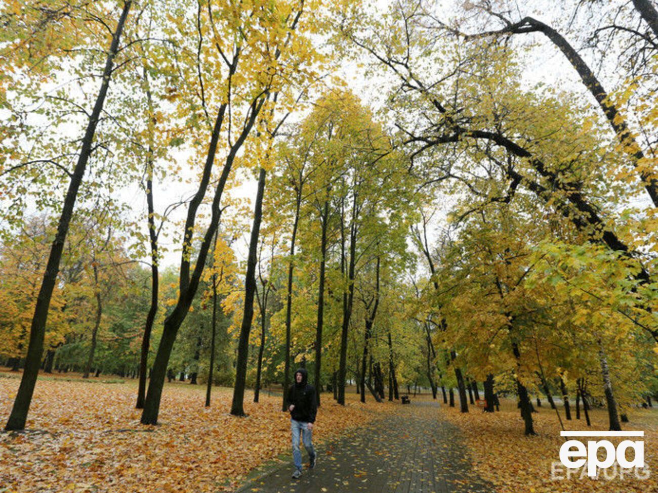 В некоторых регионах страны усилится ветер