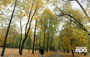 В некоторых регионах страны усилится ветер