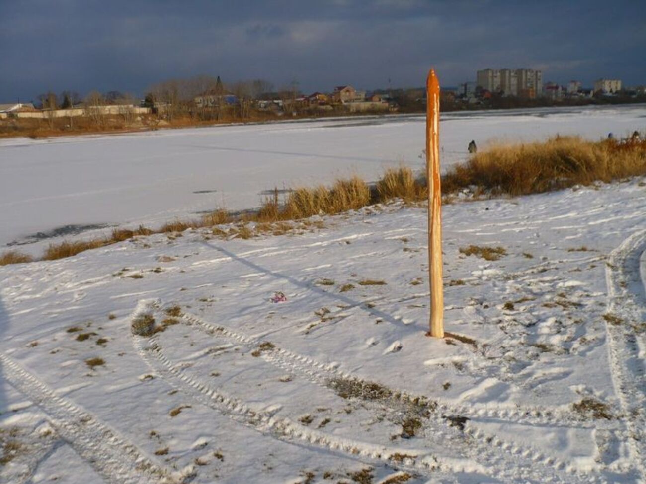 Художник установил "памятник Ивану Грозному от неблагодарных потомков"