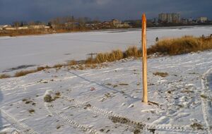 Художник установил "памятник Ивану Грозному от неблагодарных потомков"