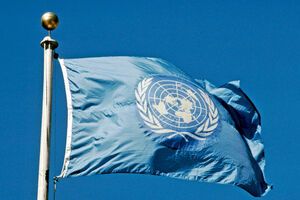 ООН: Для нас важно восстановление малого и среднего бизнеса на Донбассе