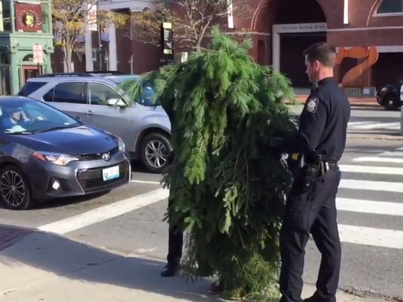 Мужчину в костюме из веток арестовали