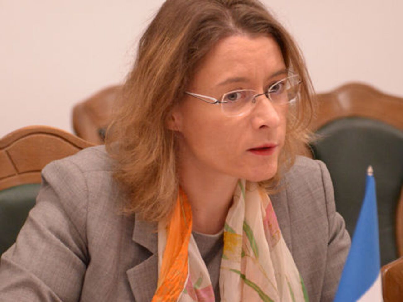 Дюмон провела встречу с Муженко