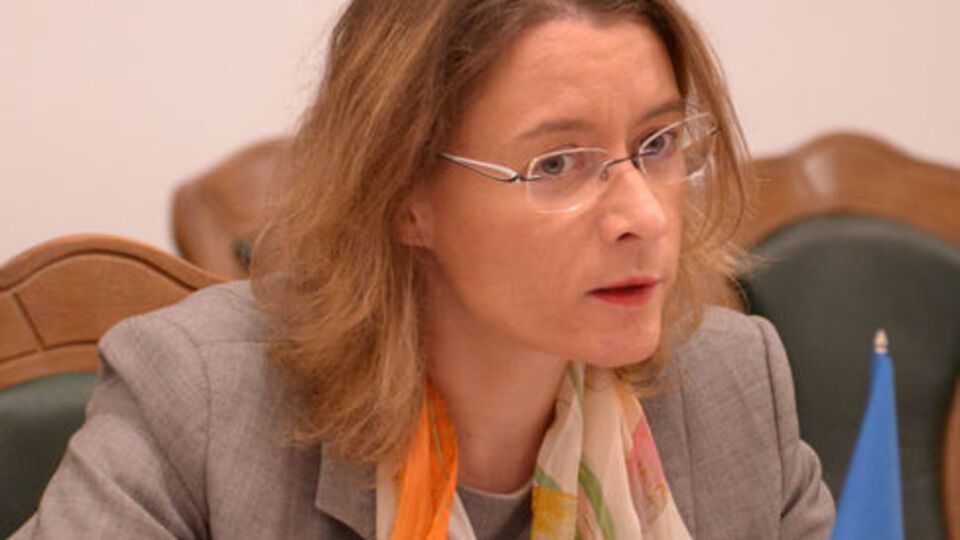 Дюмон провела встречу с Муженко