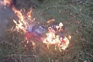 Видео записали участники "Донецкого сопротивления"