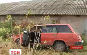 Чтобы утихомирить крестьян, полицейскому пришлось выстрелить в воздух, а также вызвать на подмогу еще один экипаж