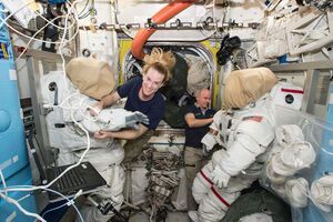 Плесневые грибы смертельно опасны для человека в космосе